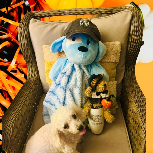 Meet your Posher, Sarah - Picture 2 of 5